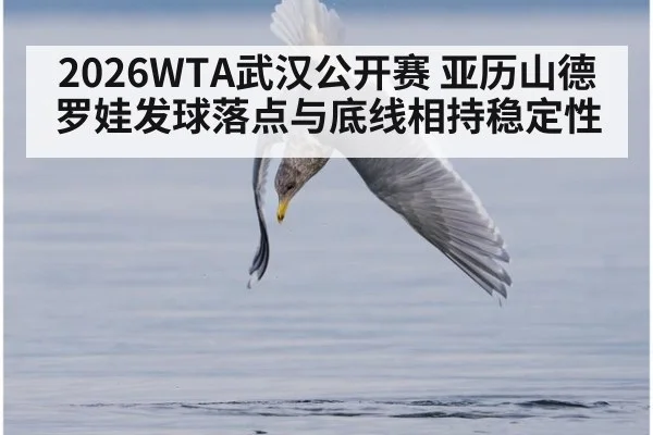 2026WTA武汉公开赛 亚历山德罗娃发球落点与底线相持稳定性